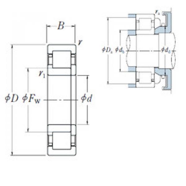 підшипник NUP 205 EW NSK #1 image